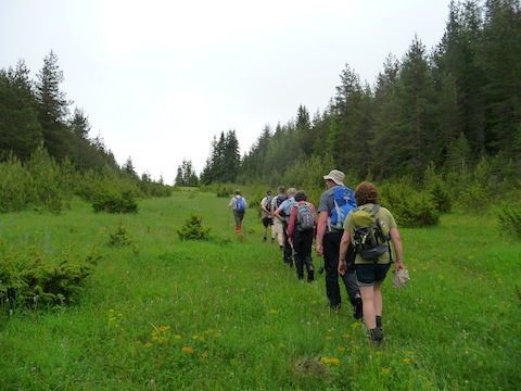 Walking in Rodopi Mountains Forest Meadows