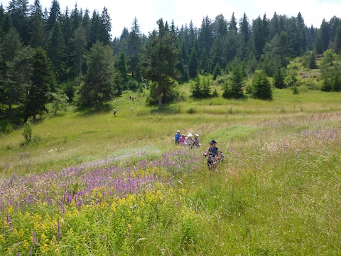 Rambling through the Rodopi (Rhodope) Mountains