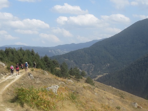 Bear Tracking in Bulgaria