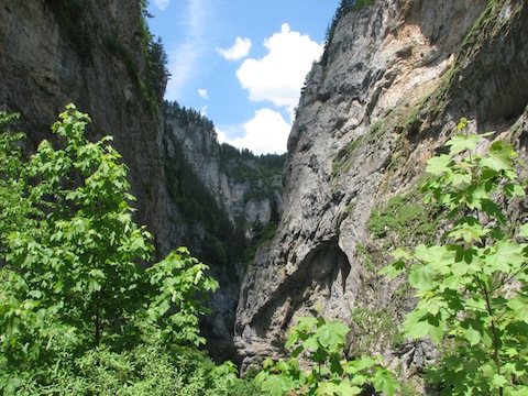 Birdwatching Holiday in Bulgaria's Rodopi Mountains