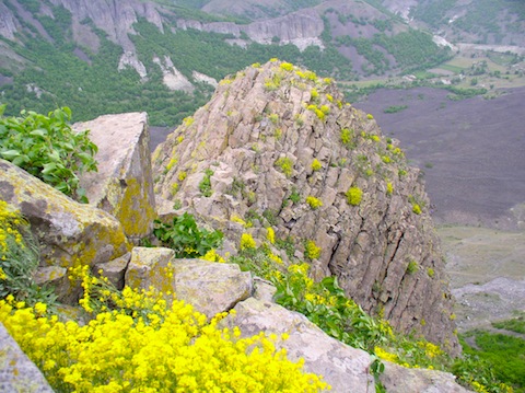 Botanic Holiday in Eastern Rodopi (Rhodope) Mountains