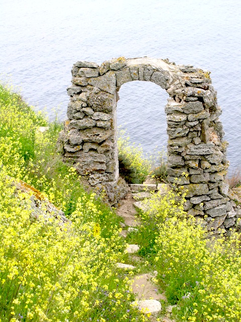 Wild Flower Holidays on Bulgaria's Black Sea coast