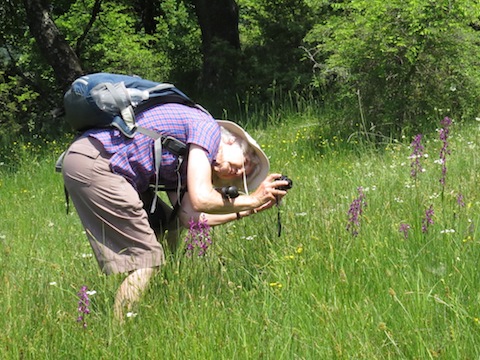 Botanic Holidays in Bulgaria