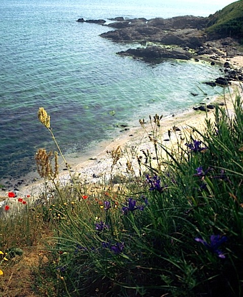 Wild Flower Holidays along the Black Sea