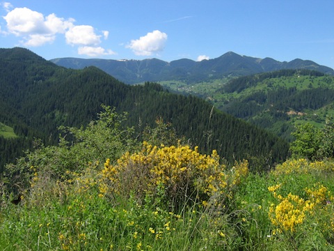 Western Rhodope Mountain Butterfly Holidays