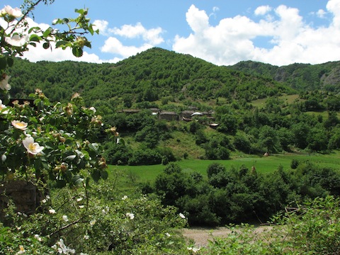 Eastern Rodopi Butterfly Holidays