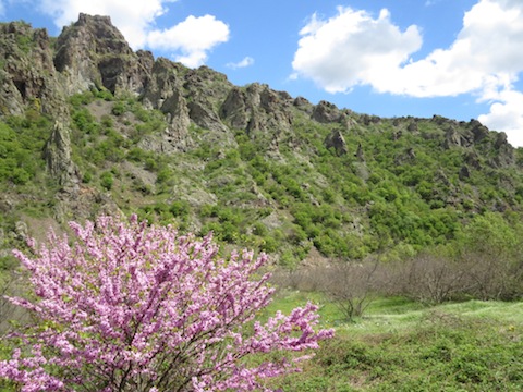 Butterfly Holidays in Bulgaria's Eastern Rodopi Mountains