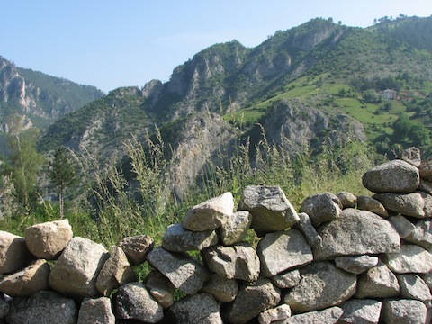 Field Herping Holidays in Bulgaria's Rodopi Mountains