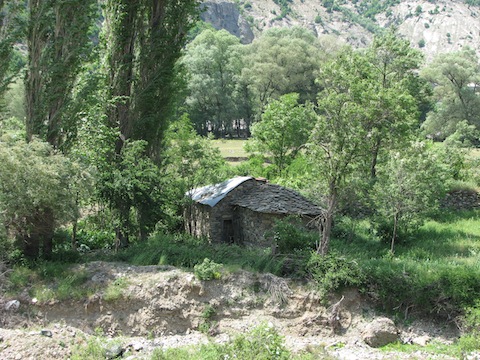 Field Herping Holiday in the Rhodope Mountains