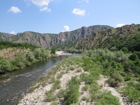 Birdwatching Holidays in Bulgaria | Eastern Rodopi Bird Monitoring Tour
