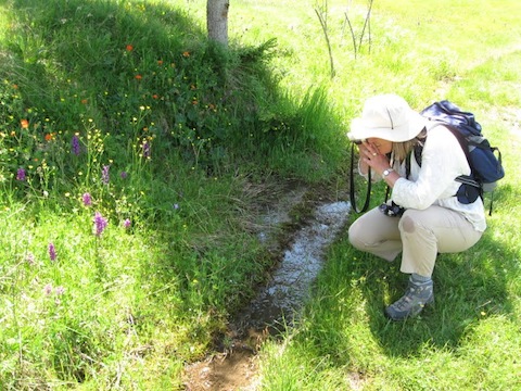 Botanic Holidays in Bulgaria