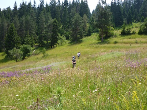 Walking in the Rhodope Mountains