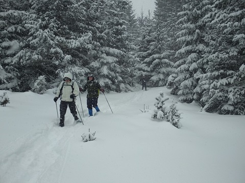 Snowshoeing in Bulgaria's Rodopi Mountains