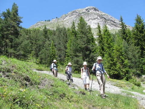 Tailor-Made Walking Holidays in Bulgaria's Rodopi Mountains