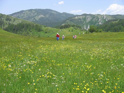 Walking & Wildlife Holidays in Bulgaria