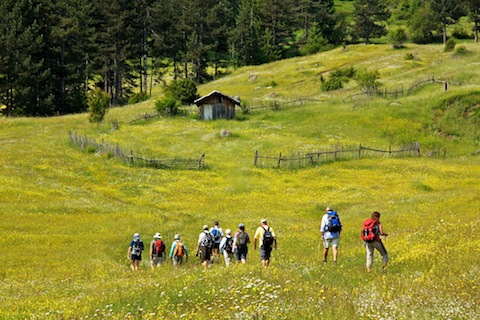 Walking & Wildlife Holidays in Bulgaria