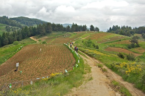 Walking & Wildlife Holidays in Bulgaria