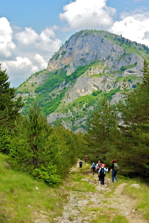 Walking & Wildlife Holidays in Bulgaria