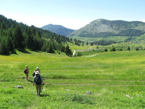 Walking & Wildlife Holidays in Bulgaria