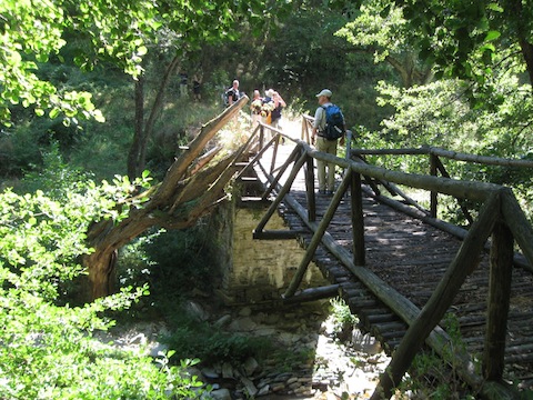 Walking & Wildlife Holidays in Bulgaria