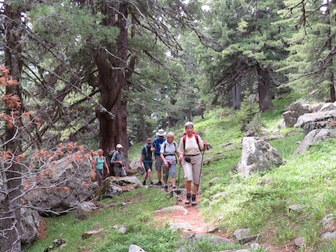 Walking in Pirin National Park