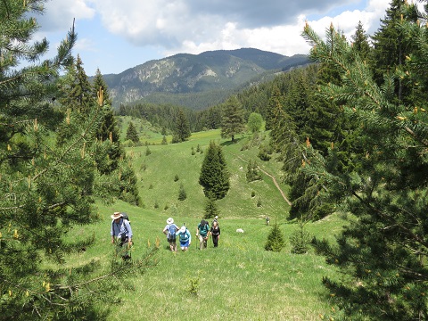 Walking Holidays in Rodopi Mountains