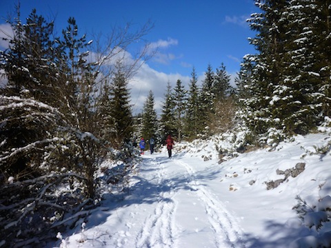 Rodopi Winter