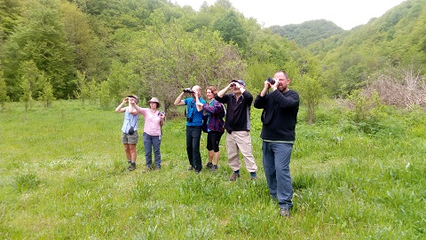 Wildlife Holidays in Bulgaria